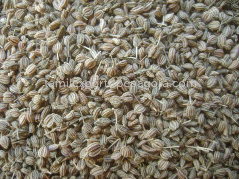 Carom Seeds(Omam) Suppliers, Wholesaler,Manufacturers