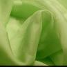 Green Organza Fabric