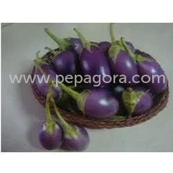 Brinjals