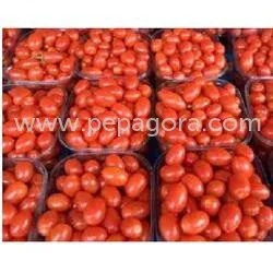 Tomato
