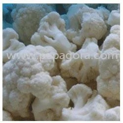 Cauli Flower 