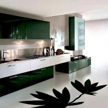 Modern Modular Kitchen