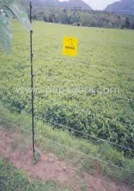 MTQ4NDM=/mediabank/images/products/SolarPowerFencing452543532_14843.webp