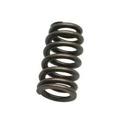 MTU1NDY=/mediabank/images/products/SpringsForValves725099004_15546.webp