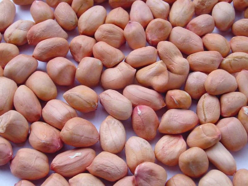 MTU4Nzk=/mediabank/images/products/Groundnuts-LargeSize988991871_15879.webp