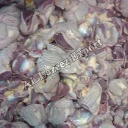 Chicken Gizzard