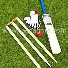 MTY1NTA=/mediabank/images/products/CricketEquipment1113149263_16550.webp