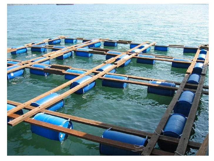 Fish Cages - Suppliers, Wholesaler,Manufacturers & Exporters in India