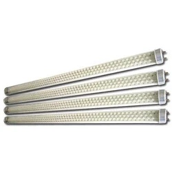 Solar Led Light
