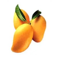 Kesar Mango