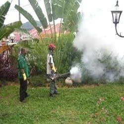 Mosquito Control Services