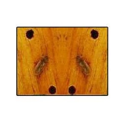 Wood Border Treatment