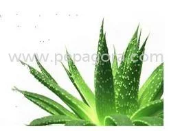 MTczMjM=/mediabank/images/products/NutraceuticalProducts514097497_17323.webp