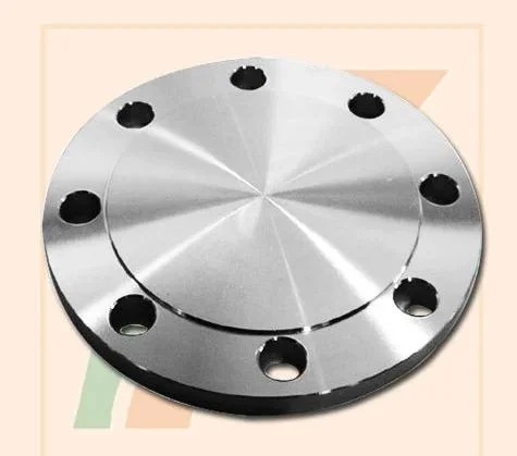 Blind Forged Flange