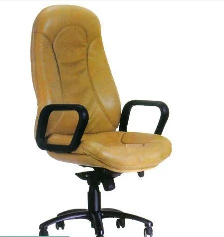 Office Chair â€“ Comfortable Ergonomic Chair with Gas Lift and Cushioned Seat
