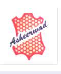 ASHEERWAD LEATHER INDUSTRIES