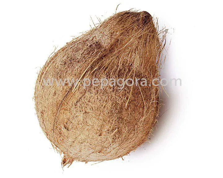 MjA0NA==/mediabank/images/products/SemiHuskedCoconut1175055538_2044.webp