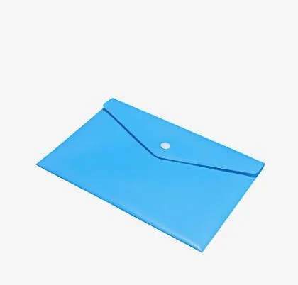 Saya A5 Clear Bag â€“ Button Wallet, Ideal for Organizing Small Papers, Slips and Documents