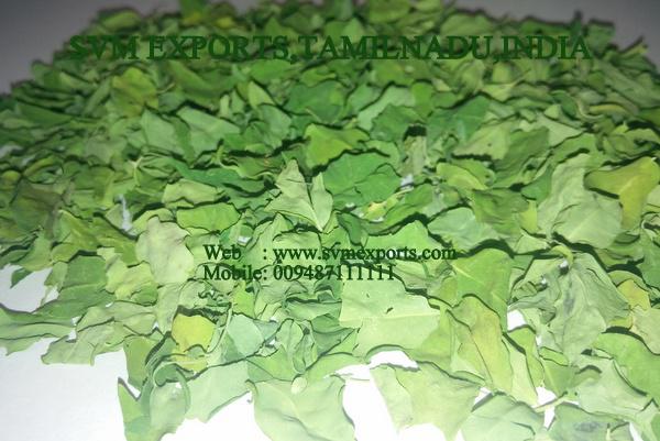 Moringa Dried Leaves Suppliers India