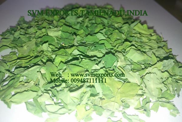 Moringa Dry Leaves Suppliers India