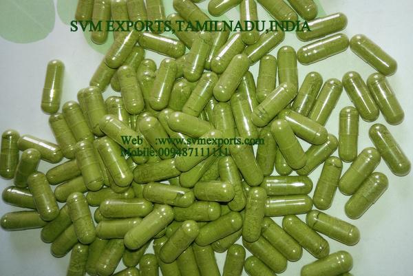 SVM EXPORTS INDIA Moringa Capsules Suppliers