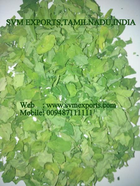 SVM EXPORTS INDIA Moringa Dry Leaves 