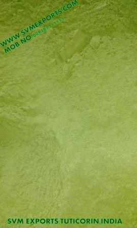 SVM EXPORTS INDIA Moringa Leaf Powder