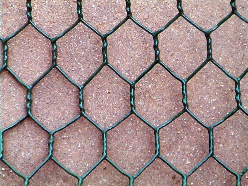 MjA2NjM2/mediabank/images/products/HexagonalWirenetting2096945095_206636.webp