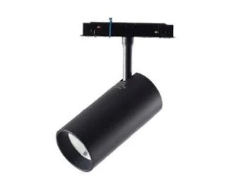 Magnetic track light