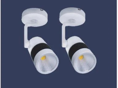 Wall Spot Light