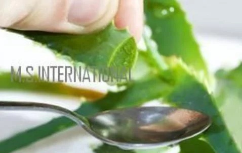 Aloe Vera Oil