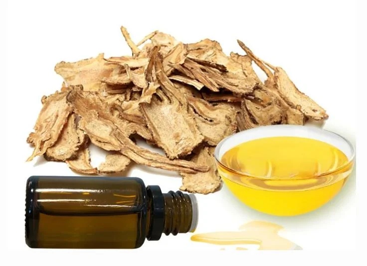 Angelica Root Oil