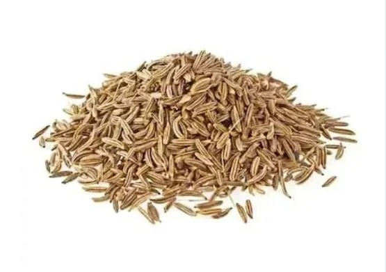 Cumin Seed
