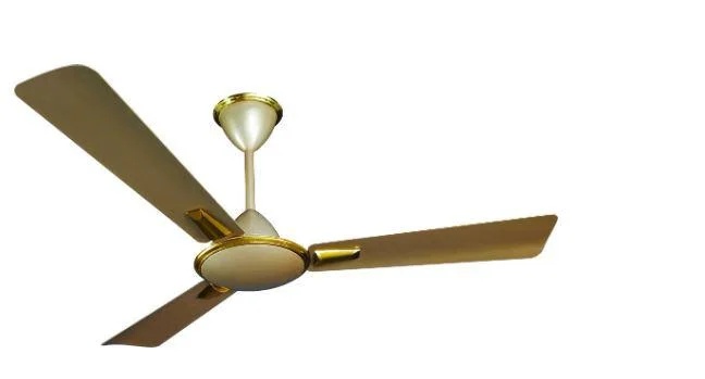 Ceiling Fans