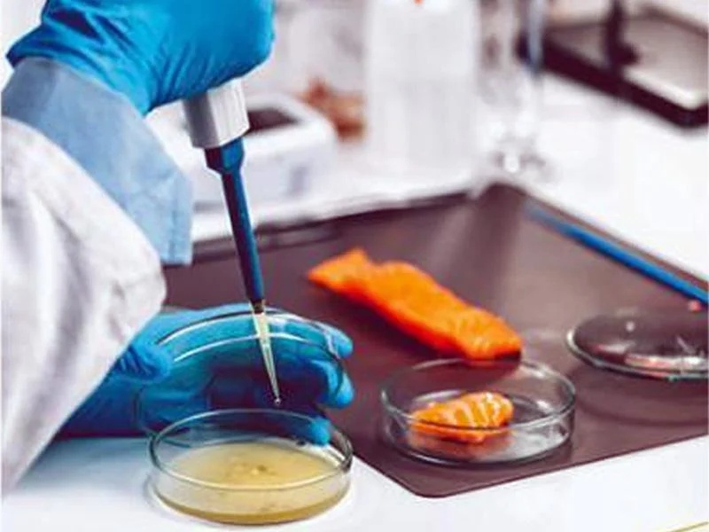 Food Lab