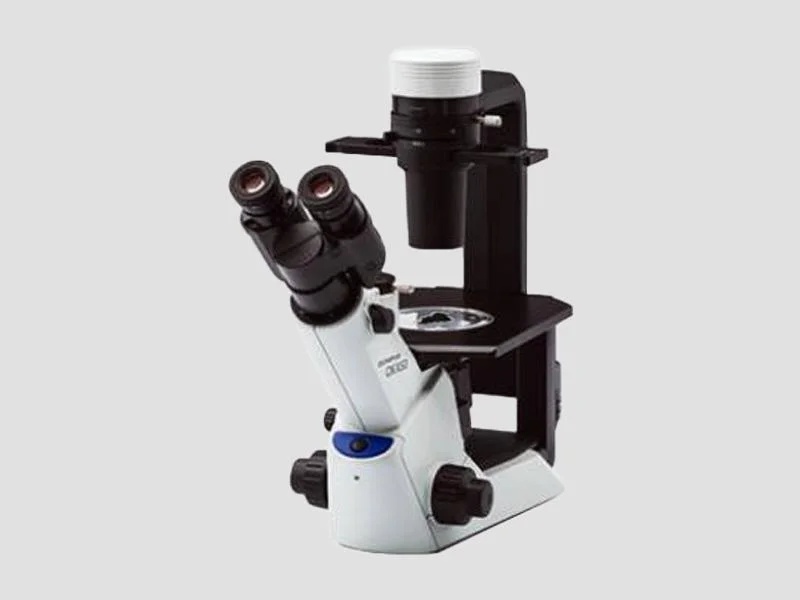 Inverted Microscope - Olympus