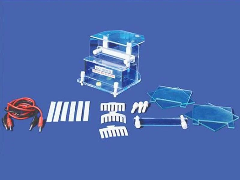 Mini Gel Electrophoresis