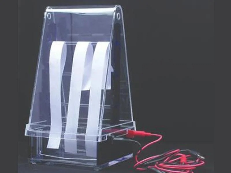 Paper Electophoresis
