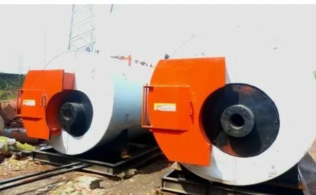 Solid Fuel Fired Packaged Steam Boilers