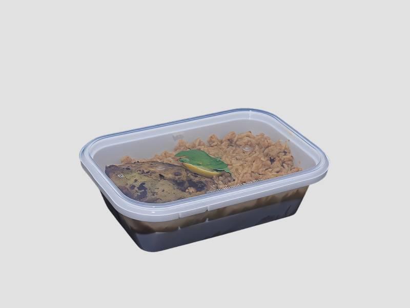 Tamper Evident Food Container