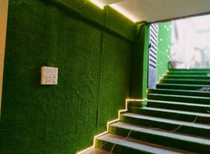 Artificial Grass