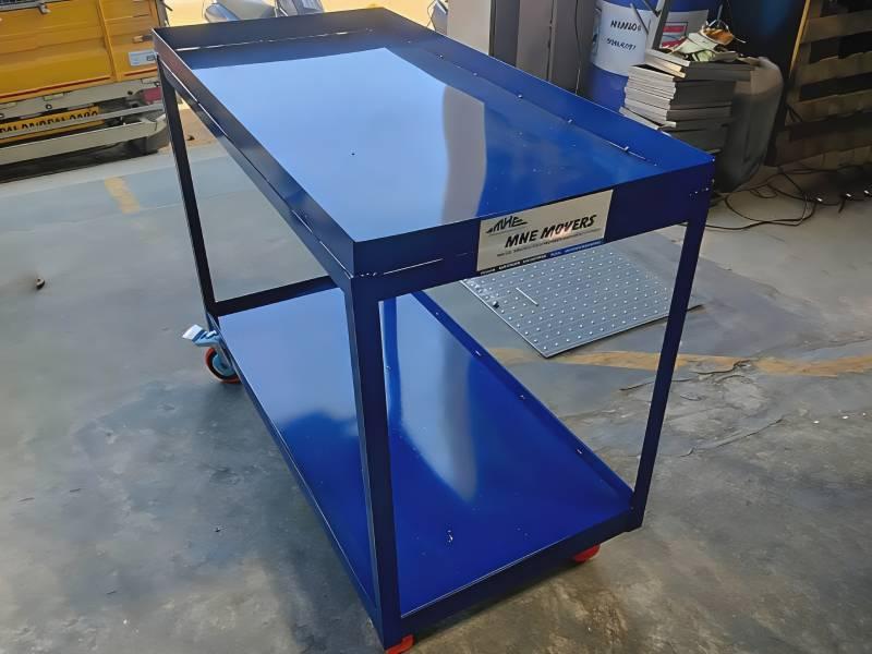 Dual Platform Trolley