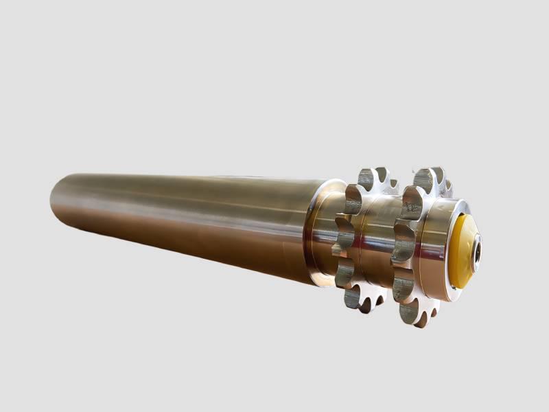 Sprocket Driven Roller
