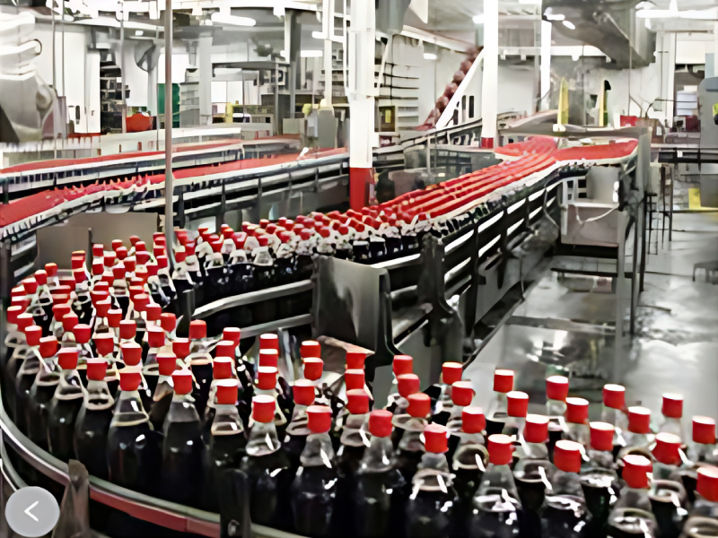 Bottle Conveyors