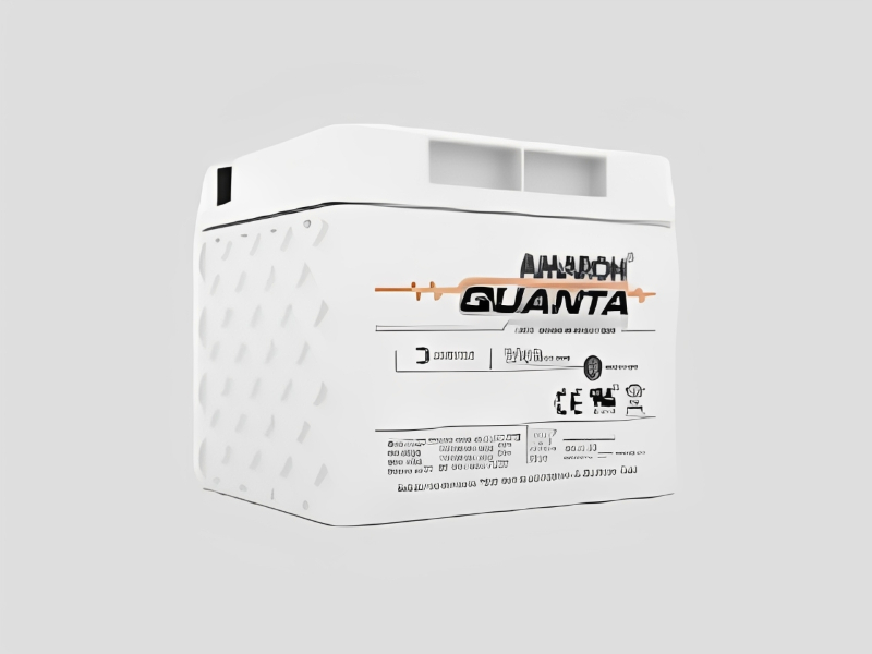 SMF Battery