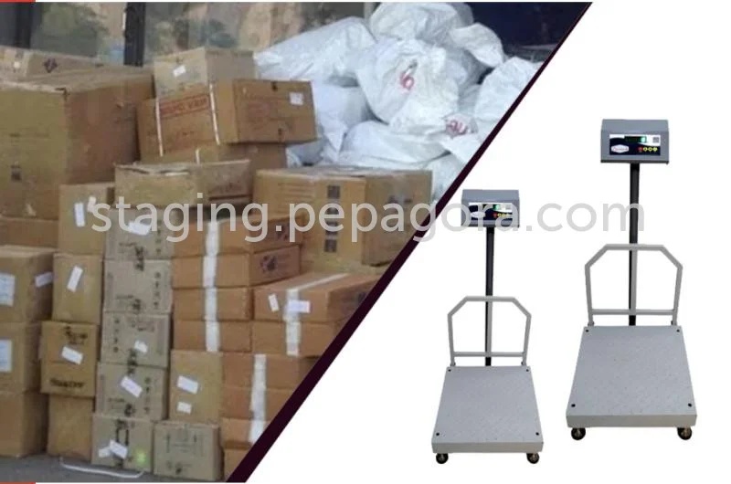 Model IND-01-16-476 â€“ MS Electronic Platform Scale