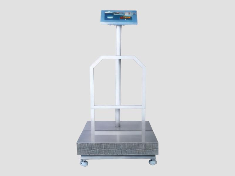MS Stainless Steel Platform Scale 450 x 450 mm