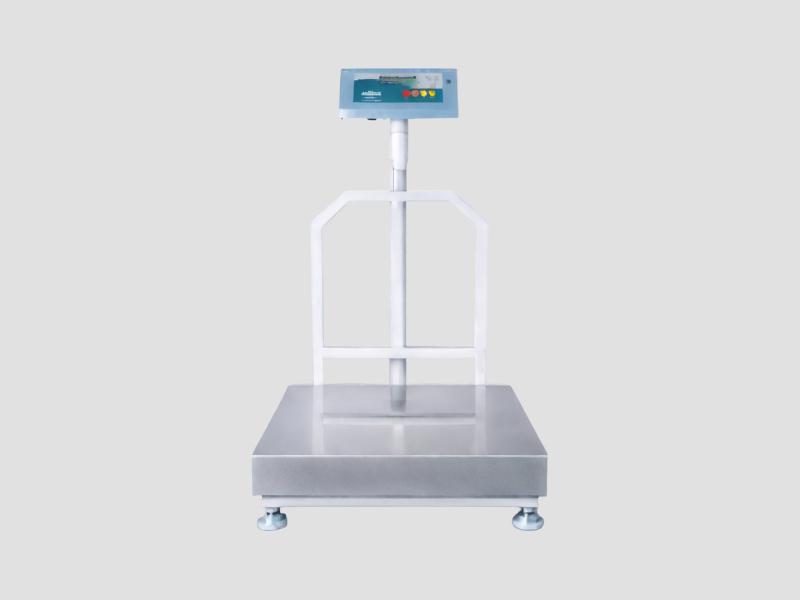 MS Stainless Steel Platform Scale 600 x 600 mm