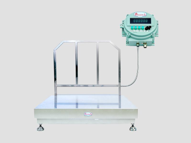 SS 304 FLP Weighing Scales