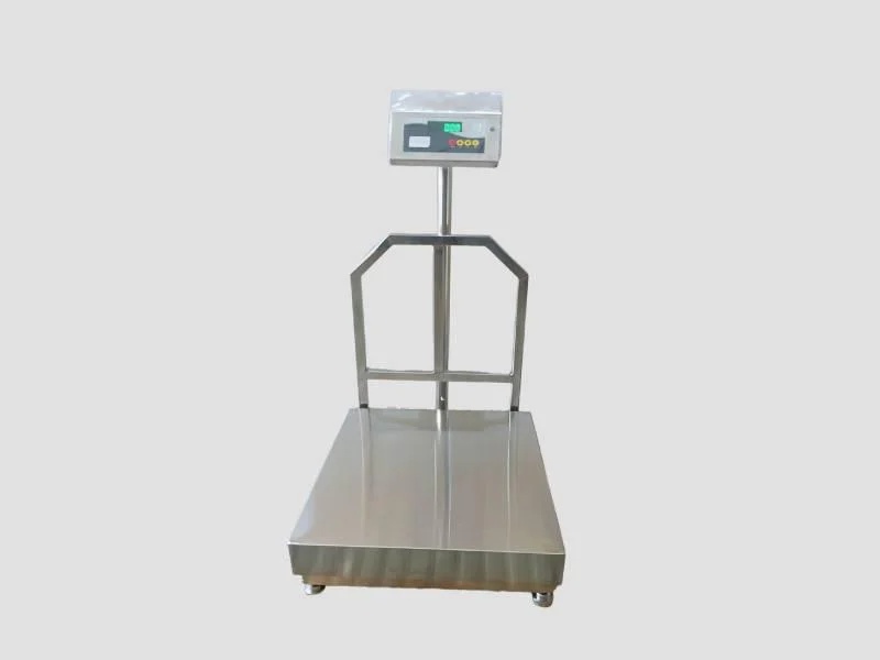 SS Platform Weighbridge